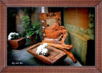 /album/fotogaleria-girona/img-3209-inpixio-inpixio-640x480-jpg/